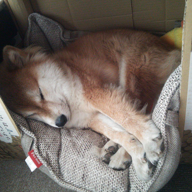 速度与赋格,当F1轮胎的尖啸化作爵士乐横扫费城的夜晚