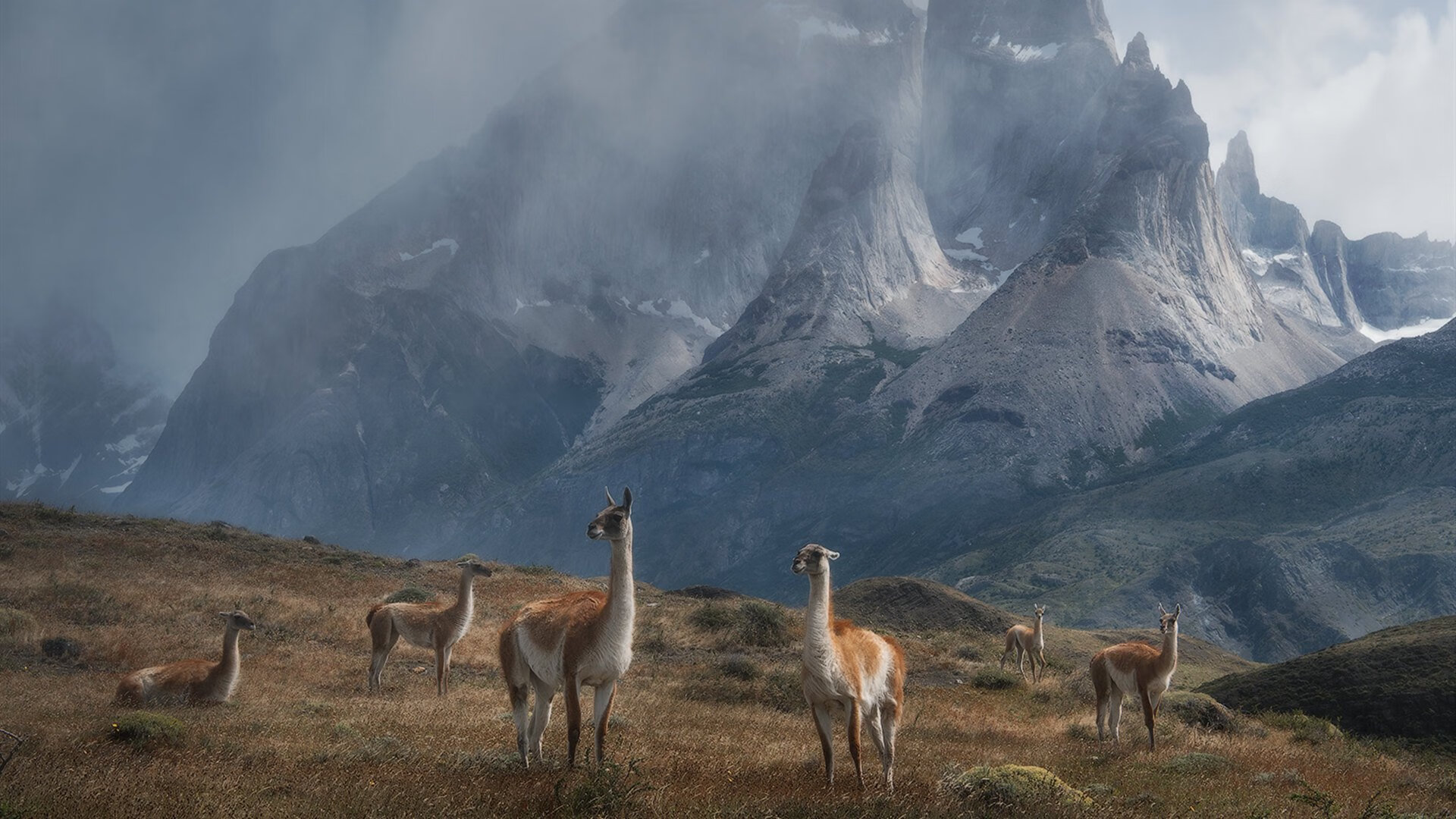 红色战神单骑叩关,当哈登在猛龙主场打碎天花板