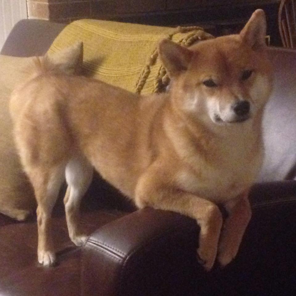 考古绿茵场，一场玛雅对黄金的文明压制，与福登的现代性诠释