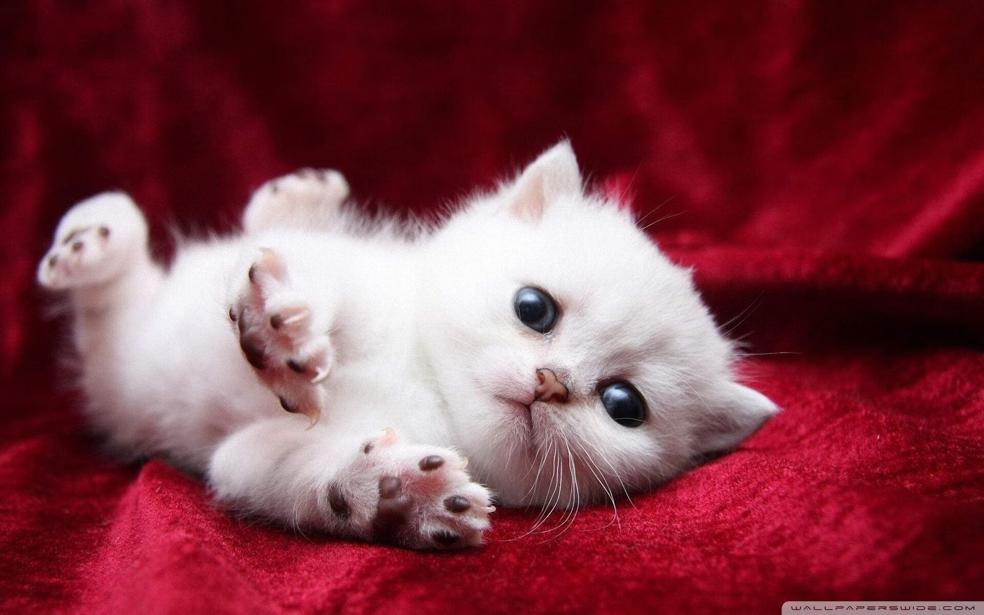 冰封药厂，接管街道，厄德高如何成为挪威体育的双线掌控者