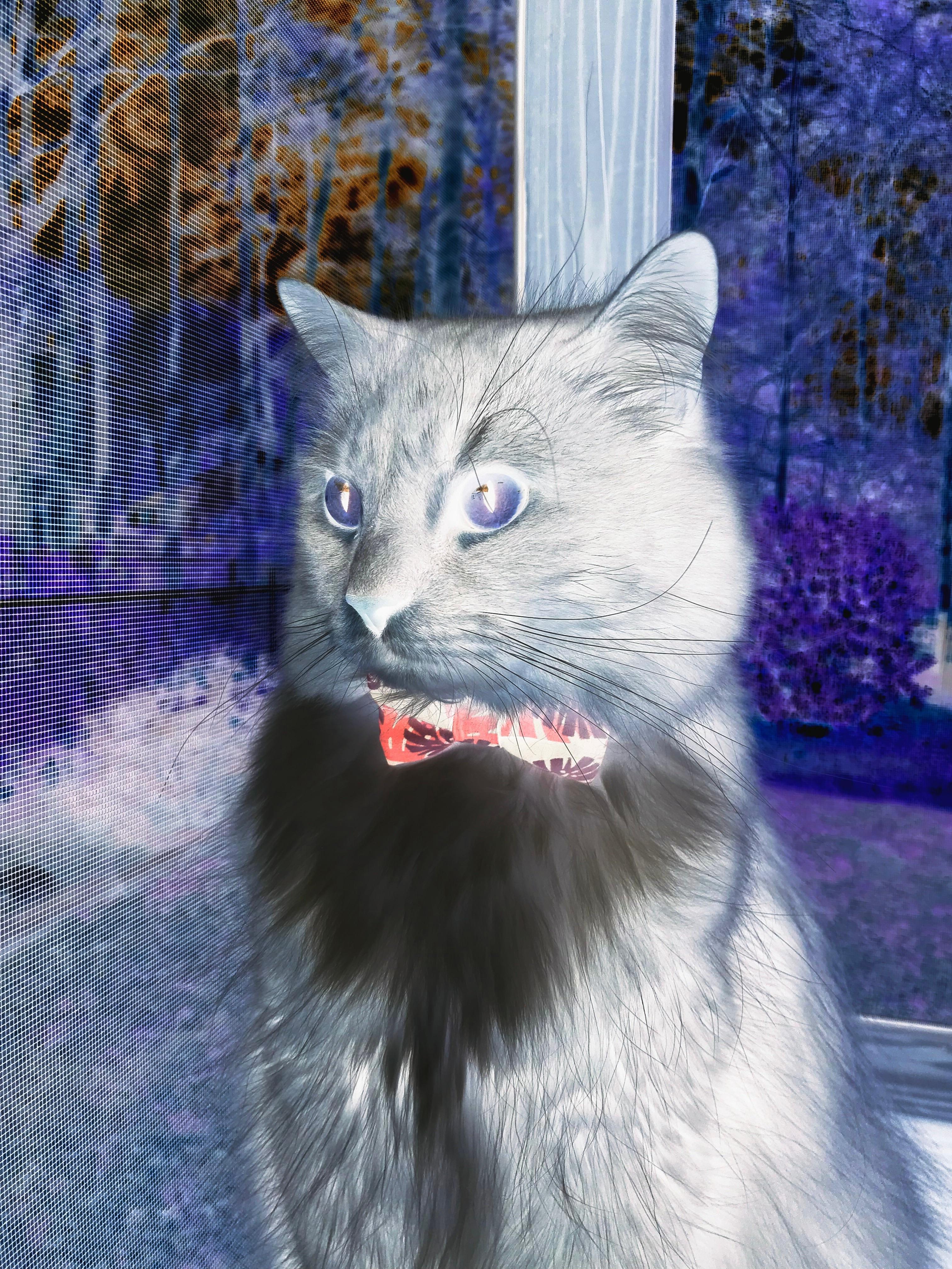 绝境怒放，利拉德时间，与开拓者那场独一无二的唯一性之战