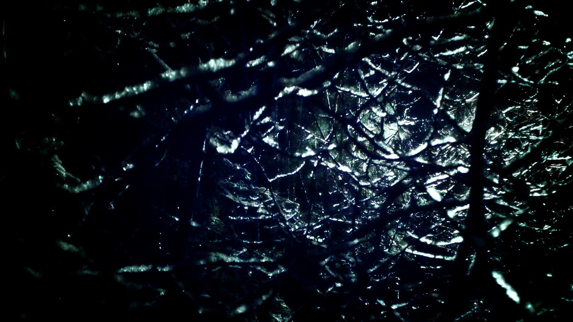 欧冠之夜，多特蒙德碾压葡萄牙体育，卡塞米罗防守端锁死对手却难挽狂澜