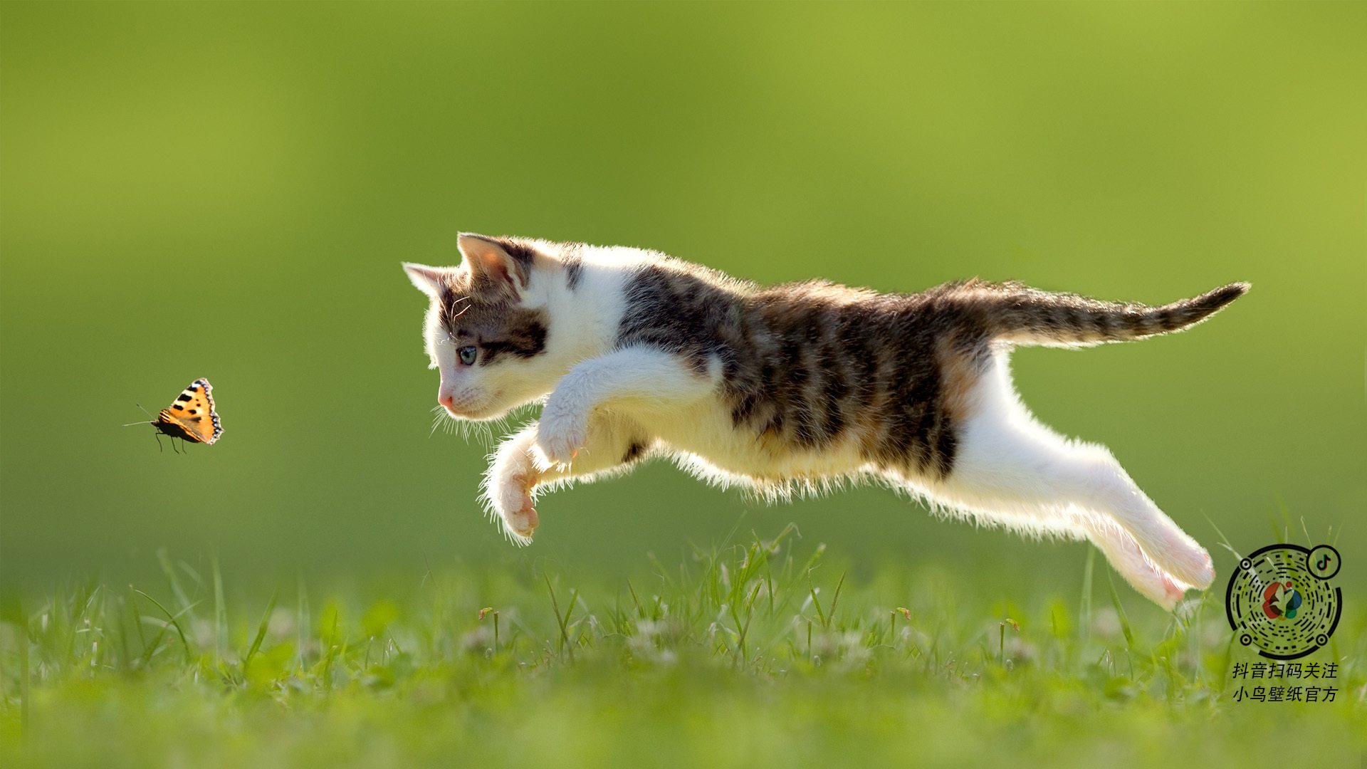 炼狱淬火,铁骑西征—奥运周期关键战,新疆粉碎奇才神话