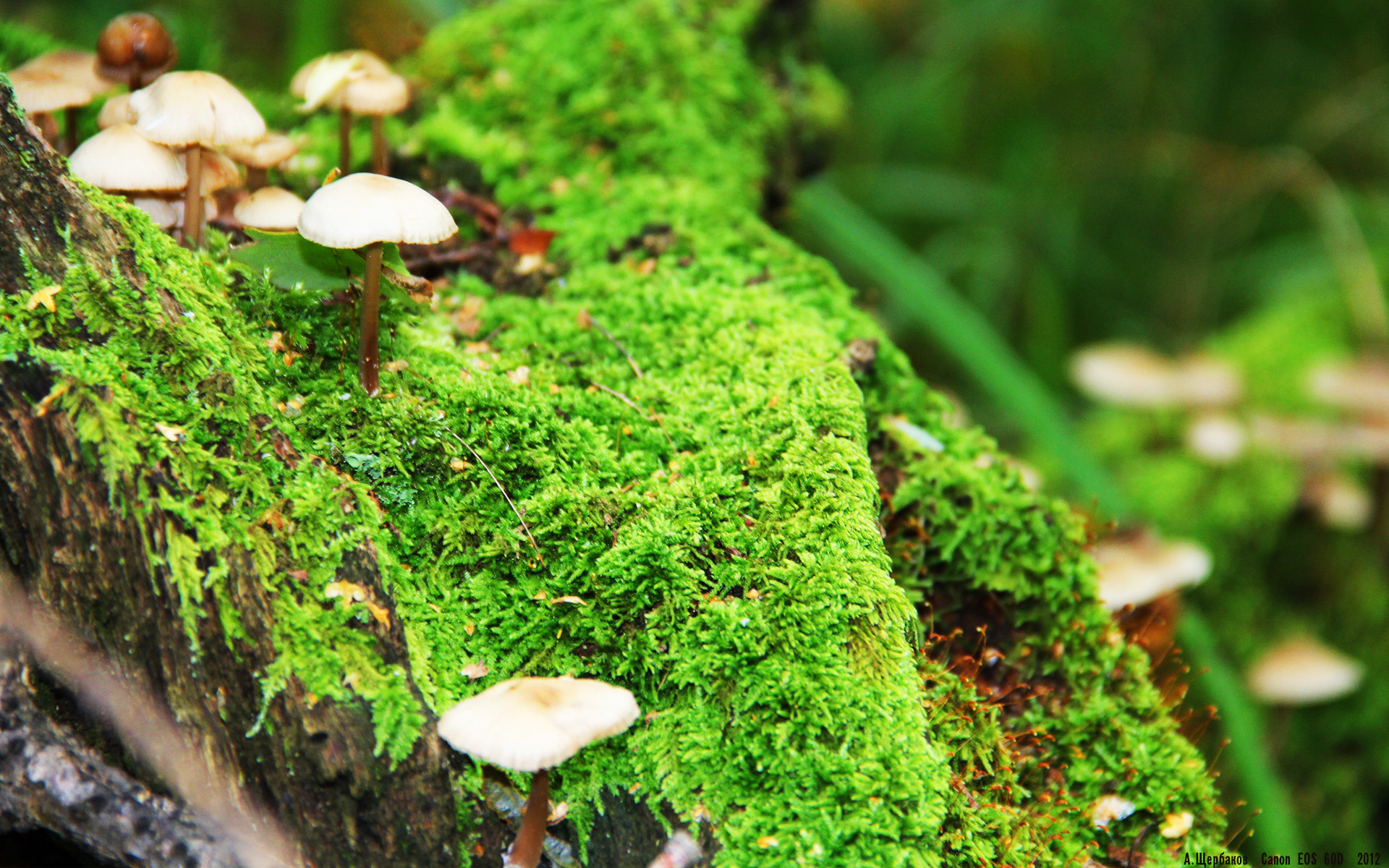 若日尼奥的远射与哈达迪的助攻，当体育按下跨界换台键