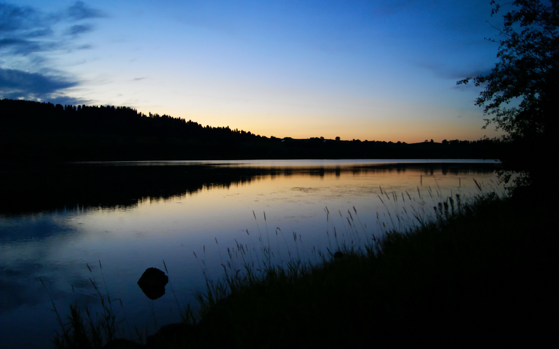 当世界鱼腩掀翻欧洲巨舰，金玟哉的钢铁防线如何书写新西兰足球唯一性史诗