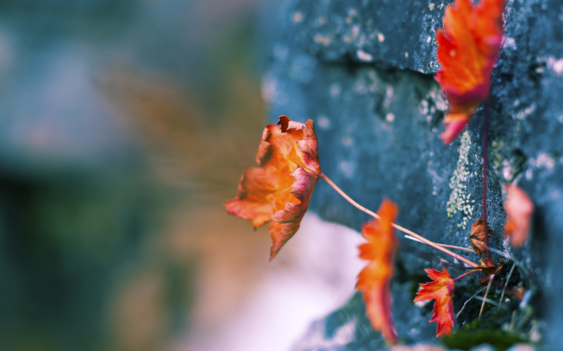 终极魔幻秀，当保罗于F1新赛季揭幕战接管比赛，魔术悄然收割马刺