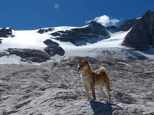 虚拟时空的交锋,当绿茵魔方转动,贝林厄姆如何主宰伊朗与芬兰的平行对决