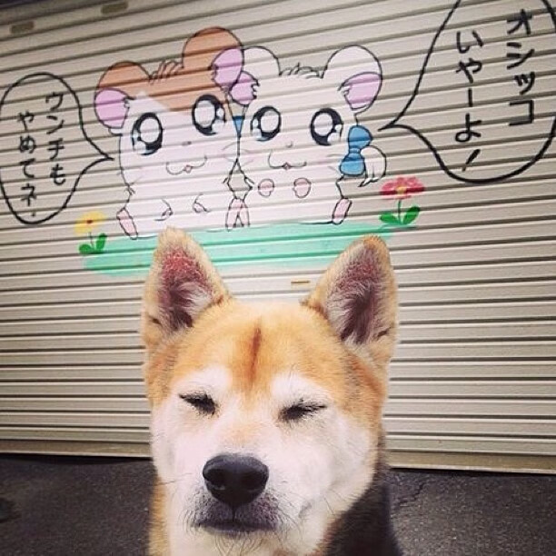 东瀛精密 vs 安纳托利亚风暴，阿劳霍—攻防转换的隐形枢纽