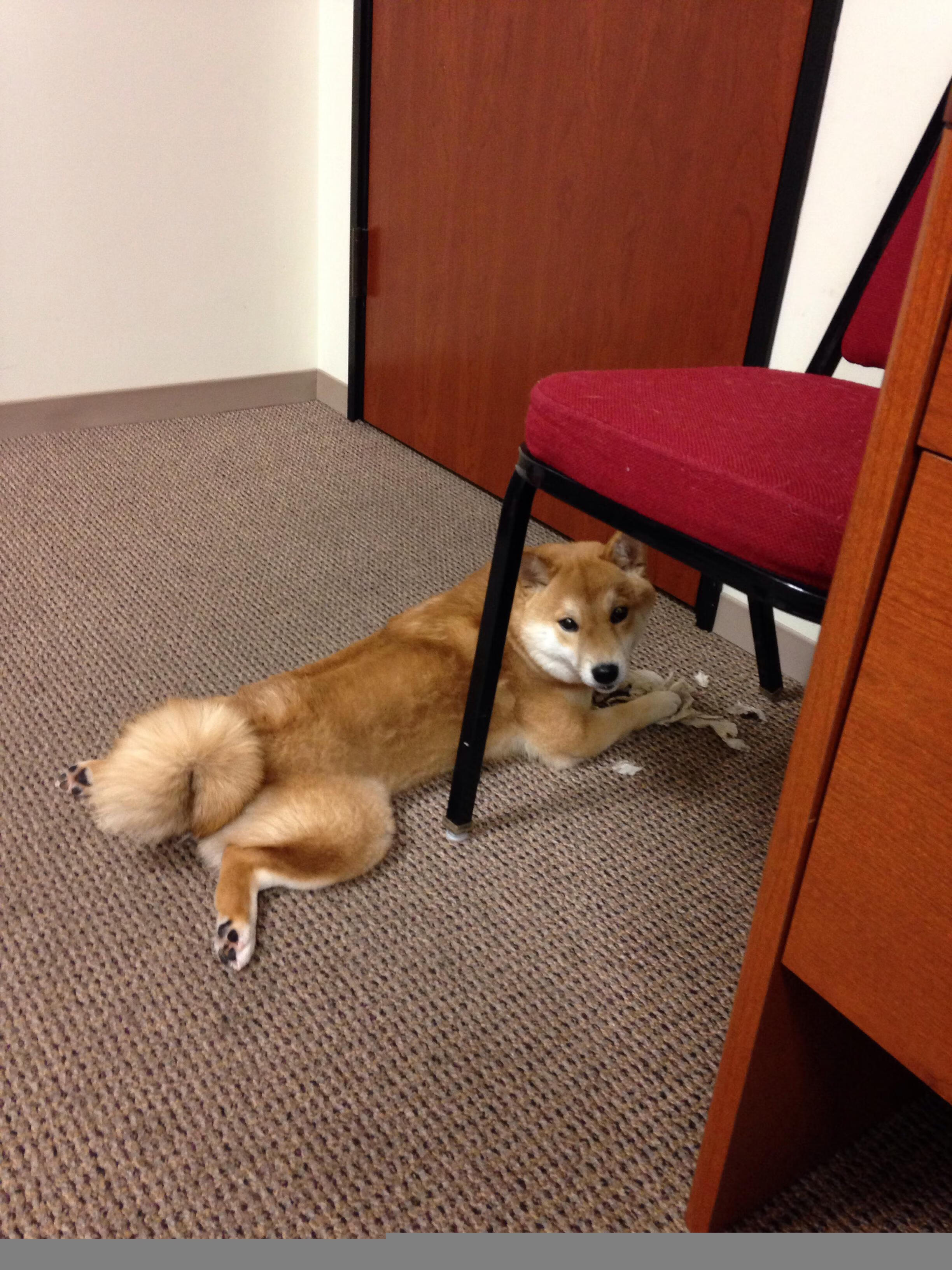 欧冠淘汰赛之夜,莫兰特关键时刻站出来,双星闪耀背后的英雄法则