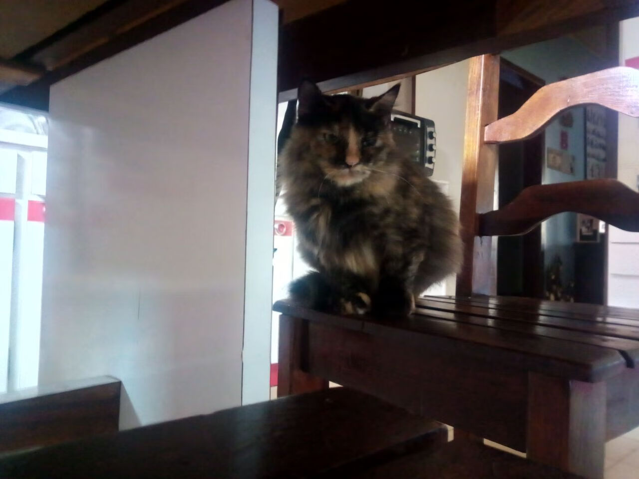 开云体育APP下载-最后的格斗或屠杀，凯尔特人用刀刃淘汰浙江，德罗赞独自穿越黑暗王国完成救赎